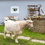 Дом отдыха Annodazumol